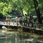 Bosna River Springs