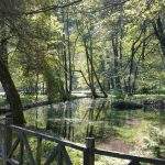 Bosna River Springs