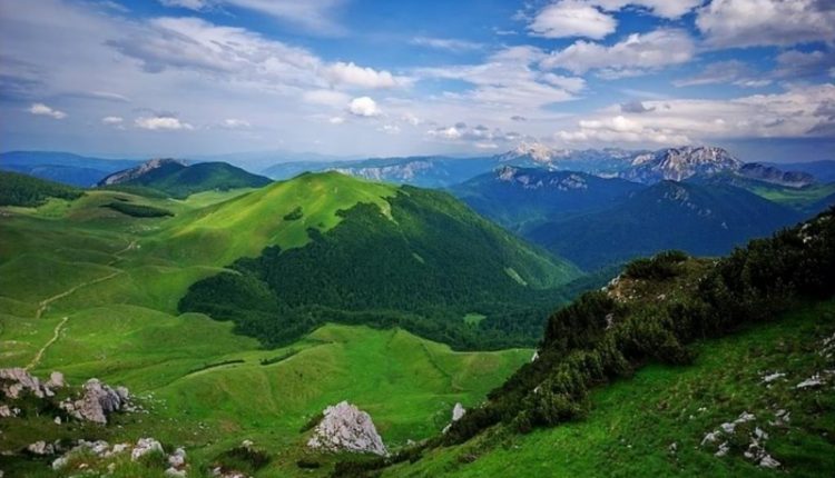 National Park Sutjeska