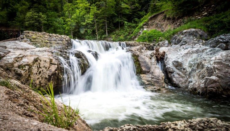 Tajan Nature Park